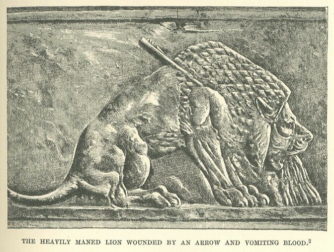 wounded-lion